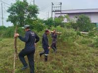 ดับเพลิงแม่สอด ออกตัดต้นไม้บริเวณข้างโรงเรียนเทศบาลเฉลิมพระเกียรติสมเด็จพระเทพรัตนราชสุดา ฯ