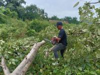 ดับเพลิงแม่สอด ออกตัดต้นไม้บริเวณข้างโรงเรียนเทศบาลเฉลิมพระเกียรติสมเด็จพระเทพรัตนราชสุดา ฯ
