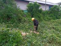 ดับเพลิงแม่สอด ออกตัดต้นไม้บริเวณข้างโรงเรียนเทศบาลเฉลิมพระเกียรติสมเด็จพระเทพรัตนราชสุดา ฯ