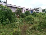 ดับเพลิงแม่สอด ออกตัดต้นไม้บริเวณข้างโรงเรียนเทศบาลเฉลิมพระเกียรติสมเด็จพระเทพรัตนราชสุดา ฯ