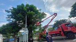 ดับเพลิงแม่สอด ออกตัดต้นไม้ภายในสำนักงานสรรพสามิตพื้นที่ตาก สาขาแม่สอด