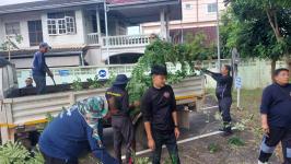 ดับเพลิงแม่สอด ออกตัดต้นไม้ภายในสำนักงานสรรพสามิตพื้นที่ตาก สาขาแม่สอด