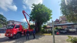 ดับเพลิงแม่สอด ออกตัดต้นไม้ภายในสำนักงานสรรพสามิตพื้นที่ตาก สาขาแม่สอด