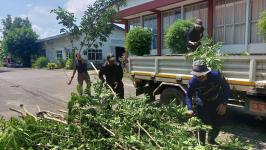 ดับเพลิงแม่สอด ออกตัดต้นไม้ภายในสำนักงานสรรพสามิตพื้นที่ตาก สาขาแม่สอด