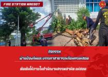 ดับเพลิงแม่สอด ออกตัดต้นไม้ภายในสำนักงานสรรพสามิตพื้นที่ตาก สาขาแม่สอด