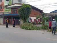 ดับเพลิงแม่สอด ตัดต้นไม้ หน้าบ้านประชาชน บริเวณถนนแม่สอด-แม่ตาว ทางไปโรงพยาบาลแม่สอด อำเภอแม่สอด จังหวัดตาก