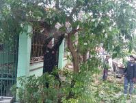 ดับเพลิงแม่สอด ตัดต้นไม้ หน้าบ้านประชาชน บริเวณถนนแม่สอด-แม่ตาว ทางไปโรงพยาบาลแม่สอด อำเภอแม่สอด จังหวัดตาก