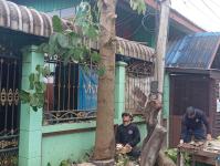 ดับเพลิงแม่สอด ตัดต้นไม้ หน้าบ้านประชาชน บริเวณถนนแม่สอด-แม่ตาว ทางไปโรงพยาบาลแม่สอด อำเภอแม่สอด จังหวัดตาก