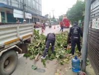 ดับเพลิงแม่สอด ตัดต้นไม้ หน้าบ้านประชาชน บริเวณถนนแม่สอด-แม่ตาว ทางไปโรงพยาบาลแม่สอด อำเภอแม่สอด จังหวัดตาก