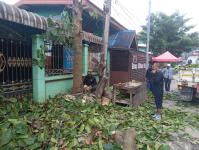 ดับเพลิงแม่สอด ตัดต้นไม้ หน้าบ้านประชาชน บริเวณถนนแม่สอด-แม่ตาว ทางไปโรงพยาบาลแม่สอด อำเภอแม่สอด จังหวัดตาก