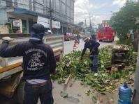 ดับเพลิงแม่สอด ตัดต้นไม้ หน้าบ้านประชาชน บริเวณถนนแม่สอด-แม่ตาว ทางไปโรงพยาบาลแม่สอด อำเภอแม่สอด จังหวัดตาก