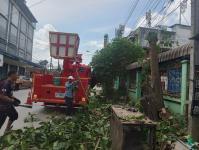 ดับเพลิงแม่สอด ตัดต้นไม้ หน้าบ้านประชาชน บริเวณถนนแม่สอด-แม่ตาว ทางไปโรงพยาบาลแม่สอด อำเภอแม่สอด จังหวัดตาก