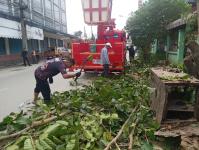 ดับเพลิงแม่สอด ตัดต้นไม้ หน้าบ้านประชาชน บริเวณถนนแม่สอด-แม่ตาว ทางไปโรงพยาบาลแม่สอด อำเภอแม่สอด จังหวัดตาก