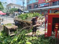 ดับเพลิงแม่สอด ตัดต้นไม้ หน้าบ้านประชาชน บริเวณถนนแม่สอด-แม่ตาว ทางไปโรงพยาบาลแม่สอด อำเภอแม่สอด จังหวัดตาก