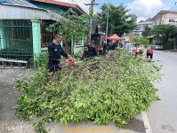 ดับเพลิงแม่สอด ตัดต้นไม้ หน้าบ้านประชาชน บริเวณถนนแม่สอด-แม่ตาว ทางไปโรงพยาบาลแม่สอด อำเภอแม่สอด จังหวัดตาก