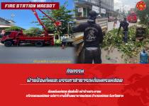 ดับเพลิงแม่สอด ตัดต้นไม้ หน้าบ้านประชาชน บริเวณถนนแม่สอด-แม่ตาว ทางไปโรงพยาบาลแม่สอด อำเภอแม่สอด จังหวัดตาก