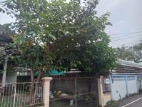 ดับเพลิงแม่สอด ออกตัดต้นไม้ตามคำร้อง บริเวณซอยอินทรคีรี ชุมชนบ้านเหนือ