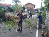 ดับเพลิงแม่สอด ออกตัดต้นไม้ตามคำร้อง บริเวณซอยอินทรคีรี ชุมชนบ้านเหนือ