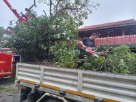 ดับเพลิงแม่สอด ออกตัดต้นไม้ตามคำร้อง บริเวณซอยอินทรคีรี ชุมชนบ้านเหนือ