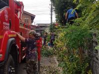 ดับเพลิงแม่สอด ออกตัดต้นไม้ตามคำร้อง บริเวณซอยอินทรคีรี ชุมชนบ้านเหนือ