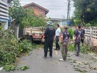 ดับเพลิงแม่สอด ออกตัดต้นไม้ตามคำร้อง บริเวณซอยอินทรคีรี ชุมชนบ้านเหนือ
