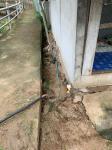ช่วยเหลือประชาชนเคลื่อนย้ายผู้สูงอายุและผู้พิการออกจากบ้านเรือนที่ได้รับผลกระทบฝนตกหนัก