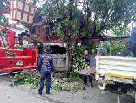 ดับเพลิงแม่สอด ออกตัดต้นไม้บริเวณบ้านทุ่งซอยกลาง ชุมชนบ้านทุ่ง