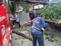 ดับเพลิงแม่สอด ออกตัดต้นไม้บริเวณบ้านทุ่งซอยกลาง ชุมชนบ้านทุ่ง