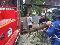 ดับเพลิงแม่สอด ออกตัดต้นไม้บริเวณบ้านทุ่งซอยกลาง ชุมชนบ้านทุ่ง