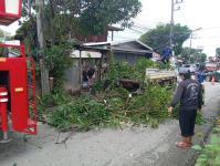 ดับเพลิงแม่สอด ออกตัดต้นไม้บริเวณบ้านทุ่งซอยกลาง ชุมชนบ้านทุ่ง