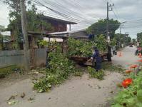 ดับเพลิงแม่สอด ออกตัดต้นไม้บริเวณบ้านทุ่งซอยกลาง ชุมชนบ้านทุ่ง