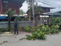 ดับเพลิงแม่สอด ออกตัดต้นไม้บริเวณบ้านทุ่งซอยกลาง ชุมชนบ้านทุ่ง