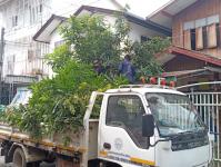 ดับเพลิงแม่สอด ออกตัดต้นไม้บริเวณบ้านทุ่งซอยกลาง ชุมชนบ้านทุ่ง