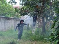 ดับเพลิงแม่สอด ออกตีรังผึ้งหลวง บ้านพักผู้พิพากษาแม่สอด