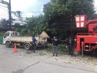 ดับเพลิงแม่สอด ออกตัดต้นไม้แนวสายไฟฟ้า หน้าไทยแสงทองบ้านทุ่ง