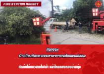 ดับเพลิงแม่สอด ออกตัดต้นไม้แนวสายไฟฟ้า หน้าไทยแสงทองบ้านทุ่ง
