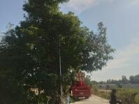 ดับเพลิงแม่สอด ออกตัดต้นไม้พาดสายไฟฟ้า บริเวณทางชลประทาน ชุมชนบัวคูณ