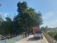 ดับเพลิงแม่สอด ออกตัดต้นไม้พาดสายไฟฟ้า บริเวณทางชลประทาน ชุมชนบัวคูณ