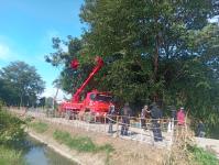 ดับเพลิงแม่สอด ออกตัดต้นไม้พาดสายไฟฟ้า บริเวณทางชลประทาน ชุมชนบัวคูณ