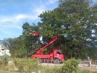 ดับเพลิงแม่สอด ออกตัดต้นไม้พาดสายไฟฟ้า บริเวณทางชลประทาน ชุมชนบัวคูณ