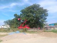 ดับเพลิงแม่สอด ออกตัดต้นไม้พาดสายไฟฟ้า บริเวณทางชลประทาน ชุมชนบัวคูณ