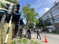 ดับเพลิงแม่สอด ออกตัดต้นไม้(มะยม) ตามคำร้องฯ บริเวณร้านขายเสื้อผ้า สี่แยกทางไปเทศบาลนครแม่สอด