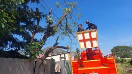 ดับเพลิงแม่สอด ออกตัดต้นไม้ล้มทับรั้วบ้านประชาชน บริเวณถนนแม่สอด-แม่ตาว