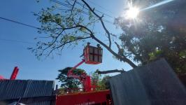 ดับเพลิงแม่สอด ออกตัดต้นไม้ล้มทับรั้วบ้านประชาชน บริเวณถนนแม่สอด-แม่ตาว