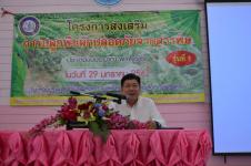 ฝ่ายพัฒนาชุมชน-โครงการส่งเสริมการปลูกพืชผักปลอดสารพิษ