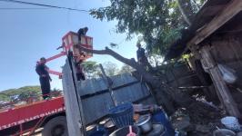 ดับเพลิงแม่สอด ออกตัดต้นไม้ล้มทับรั้วบ้านประชาชน บริเวณถนนแม่สอด-แม่ตาว