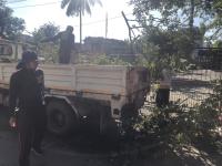 ดับเพลิงแม่สอด ออกตัดต้นไม้พาดสา่ยไฟฟ้า ซอยโรงแรมบ้านระเบียงไม้