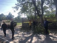 ดับเพลิงแม่สอด ออกตัดต้นไม้พาดสา่ยไฟฟ้า ซอยโรงแรมบ้านระเบียงไม้