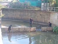 ดับเพลิงแม่สอด ออกตัดแต่งต้นไม้ภายในวัดมณีไพรสณฑ์ เพื่อเรียมงานลอยกระทง