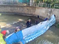 ดับเพลิงแม่สอด ออกตัดแต่งต้นไม้ภายในวัดมณีไพรสณฑ์ เพื่อเรียมงานลอยกระทง